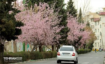 طرح استقبال از بهار 29