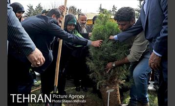 مراسم درختکاری به مناسبت روز مادر 44