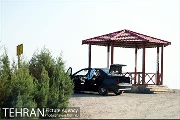 بوستان جنگلی لتمال کن 8