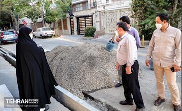 پویش سه شنبه های بدون خودرو در منطقه 8