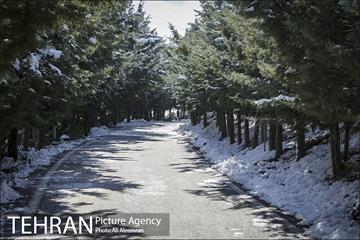 طبیعت برفی تلو 27