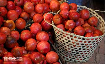 جشنواره انار تهران در گذر گردشگری پارک آب و آتش 8