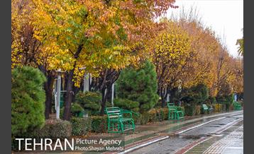 پاییز در بوستان المهدی(عج) 28