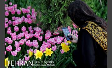 پیاده راه لاله مادران 28