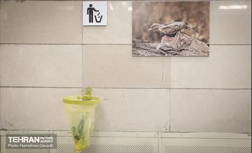 رونمایی از سند ایزو14001 ایستگاه مترو تربیت مدرس 4