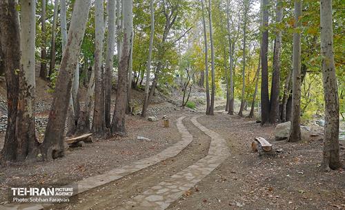 ­اکوپارک رود دره فرحزاد 65