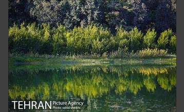 باغ گیاه شناسی ملی ایران  27