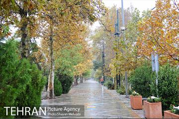 بارش باران پاییزی در تهران 14