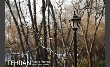 باغ ایرانی 22