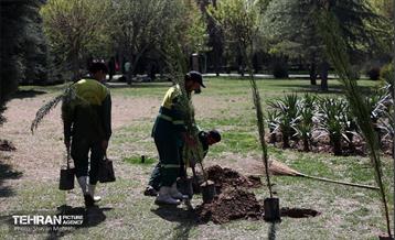 آیین درخت‌کاری به مناسبت روز طبیعت 21