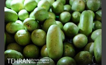 خرید شب یلدا در بازار تجریش 33