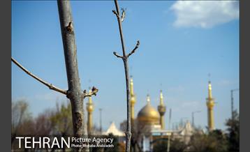 کاشت درخت میثاق در حرم امام خمینی 24