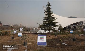 آئین روز درختکاری با حضور سفیران و نمایندگان کشورهای خارجی 38