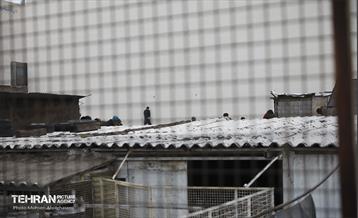 هفتمین جلسه قرارگاه اجتماعی شهرداری منطقه ۱۵ 43