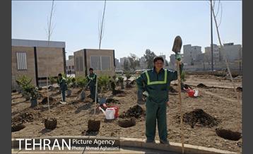 روز درختکاری در بوستان تبسم 6
