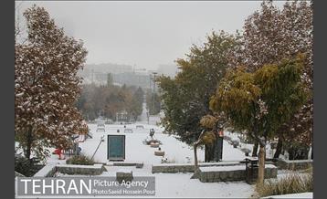 تهران سفید پوش شد 8