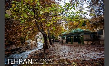 طبیعت پاییزی روستای سنگان 37