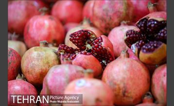 بازار تجریش در آستانه شب یلدا 3