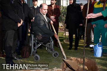 آیین درختکاری در منطقه فرهنگی و گردشگری عباس آباد  16