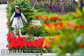 روش گل های لاله در باغ ایرانی 11