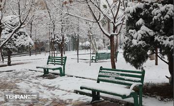 روز برفی در منطقه 8