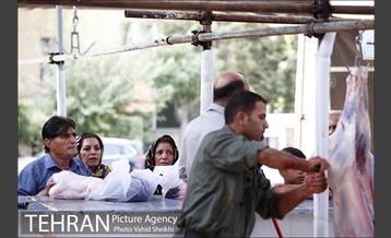 بازدید سعید راد از مراکز عرضه دام  20