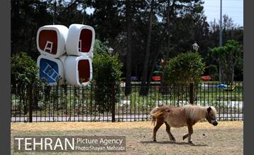 آئین بهره برداری از باغ راز هستی در منطقه 22 26