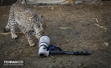 پیروز؛ پسر ایران 27