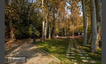 آخرین روزهای پاییزی  24