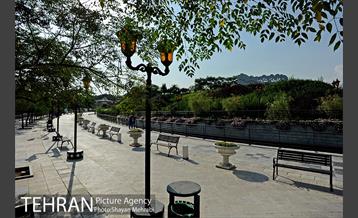 دریاچه و باغ هنر 15