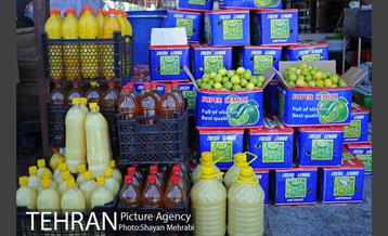 بازار میوه تربار مرکزی 7