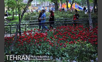 باغ ایرانی (بوستان مهندس مختاری) 46