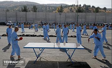 بازدید خبرنگاران از مجموعه تربیتی«یاور شهر ۹» 6