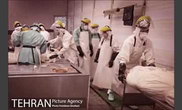 تاخت و تاز در وضعیت قرمز 12