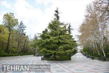 روز طبیعت متفاوت شهر تهران-1 10