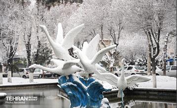 روز برفی تهران - 3 17