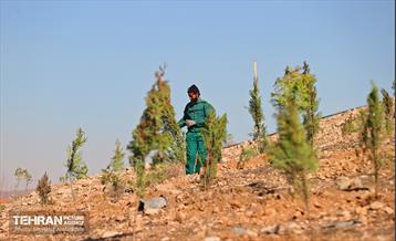 احداث فاز یک کمربند سبز شهر تهران 23