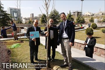 آیین کاشت درخت صلح و دوستی 46