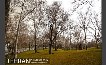پارک ملت در یک روز زمستانی 8