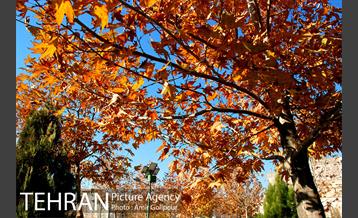 پاییز رنگارنگ بوستان جوانمردان ایران 9