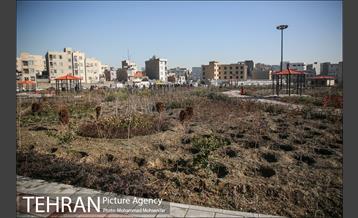 افتتاح بوستان الزهرا (س) 17
