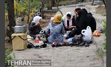 بوستان جمشیدیه در نوروز  16