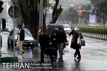 بارش باران بهاری در تهران 7