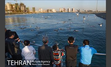 دریاچه شهدای خلیج فارس 25