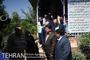 بازدید معاونین شهردار از جایگاه های عرضه دام زنده 36