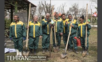 درختکاری و لانه گذاری کبوتر در بوستان بعثت 34