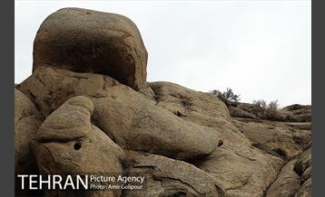 وردیج ، دنیایی از زیبایی 11