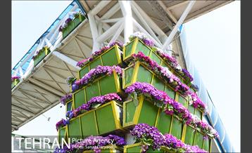 گل آرایی پل سیدخندان 14