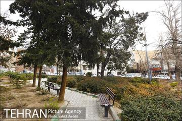 بوستان شهرآرا 19