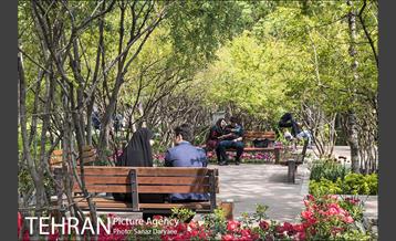 بوستان باغ ایرانی 1